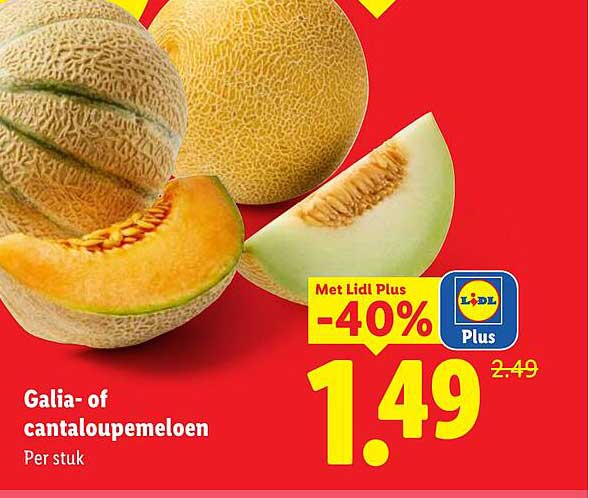 Galia- of cantaloupemeloen Per stuk Met Lidl Plus -40%