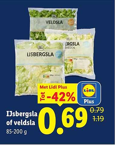 IJsbergsla of veldsla