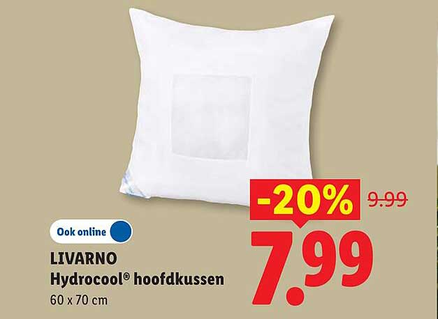 LIVARNO Hydrocool® hoofdkussen 60 x 70 cm -20%