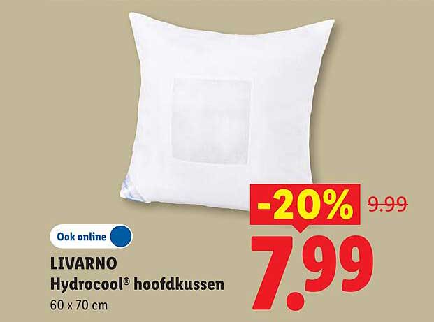 LIVARNO Hydrocool® hoofdkussen 60 x 70 cm -20%