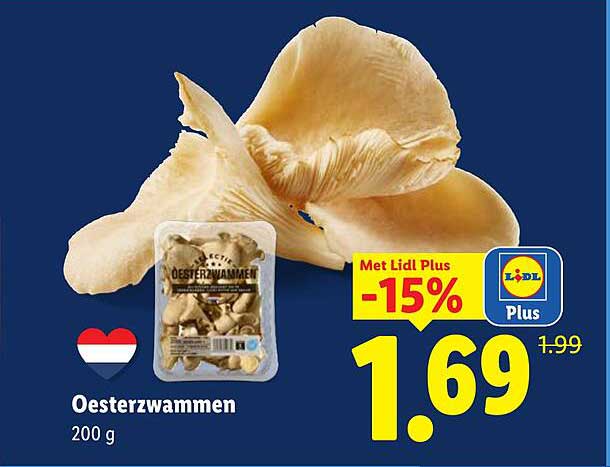 Oesterzwammen