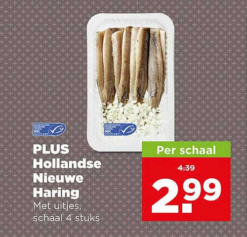 PLUS Hollandse Nieuwe Haring
