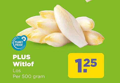 PLUS Witlof Los Per 500 gram
