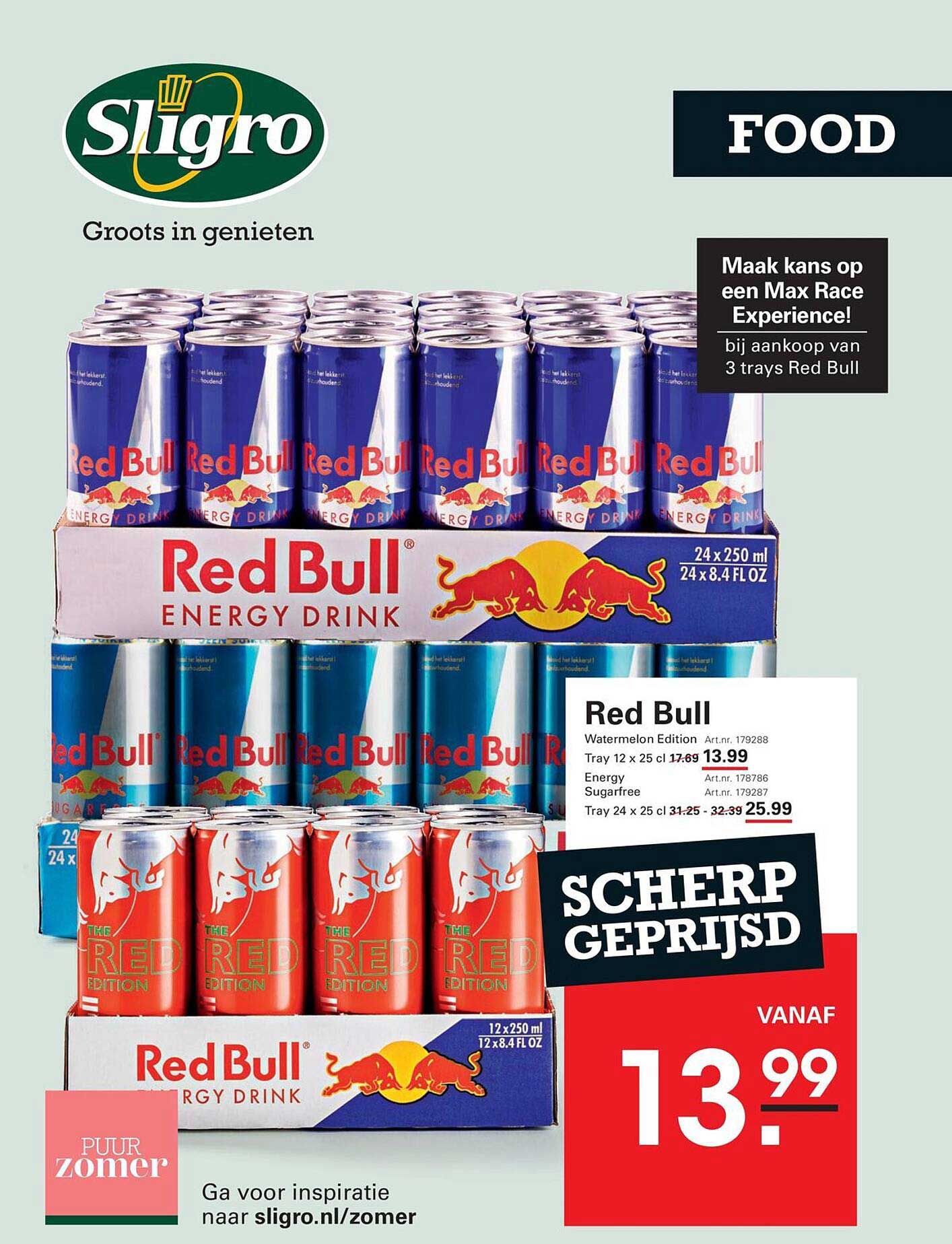 Red Bull Watermelon Edition