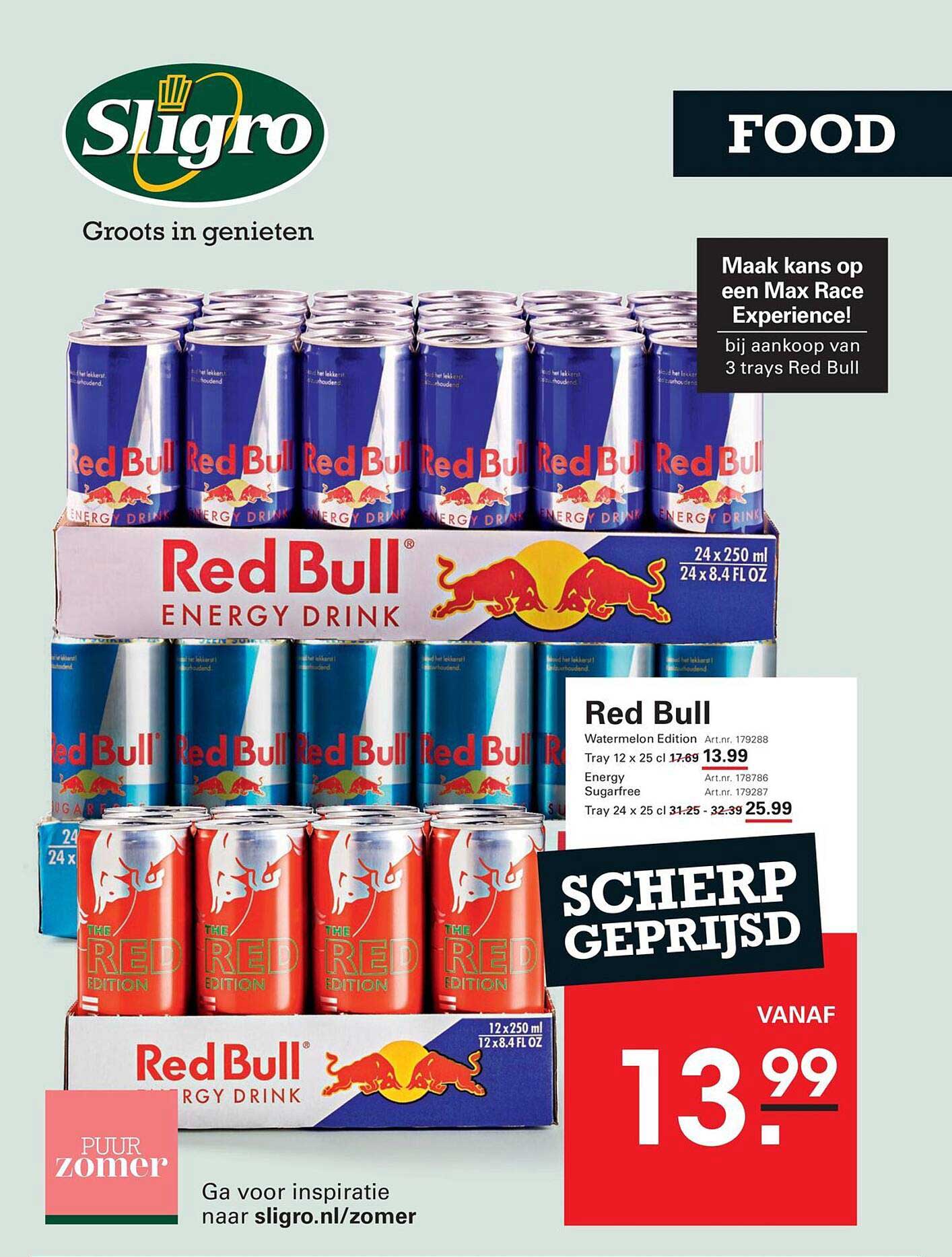 Red Bull Watermelon Edition
