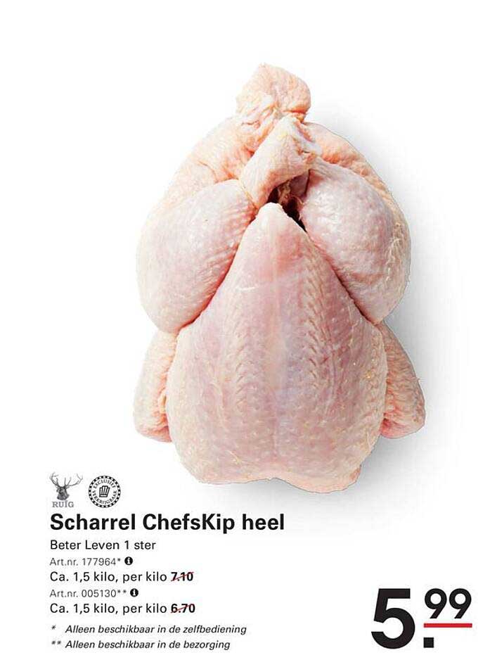 Scharrel ChefsKip heel