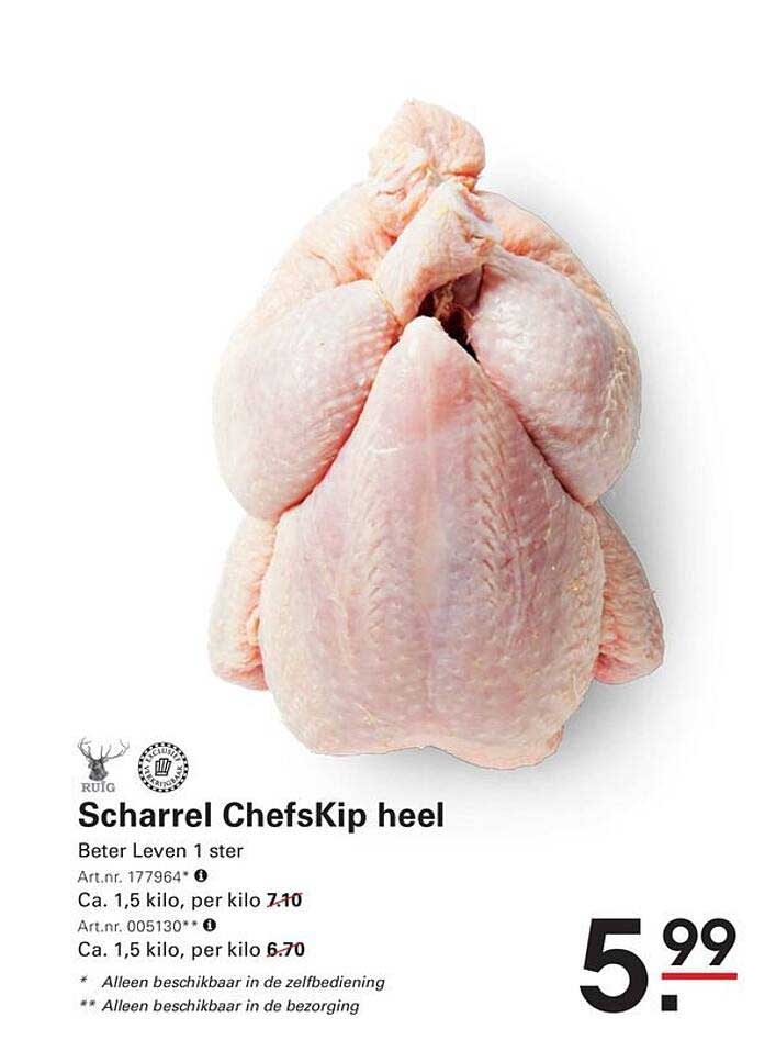Scharrel ChefsKip heel