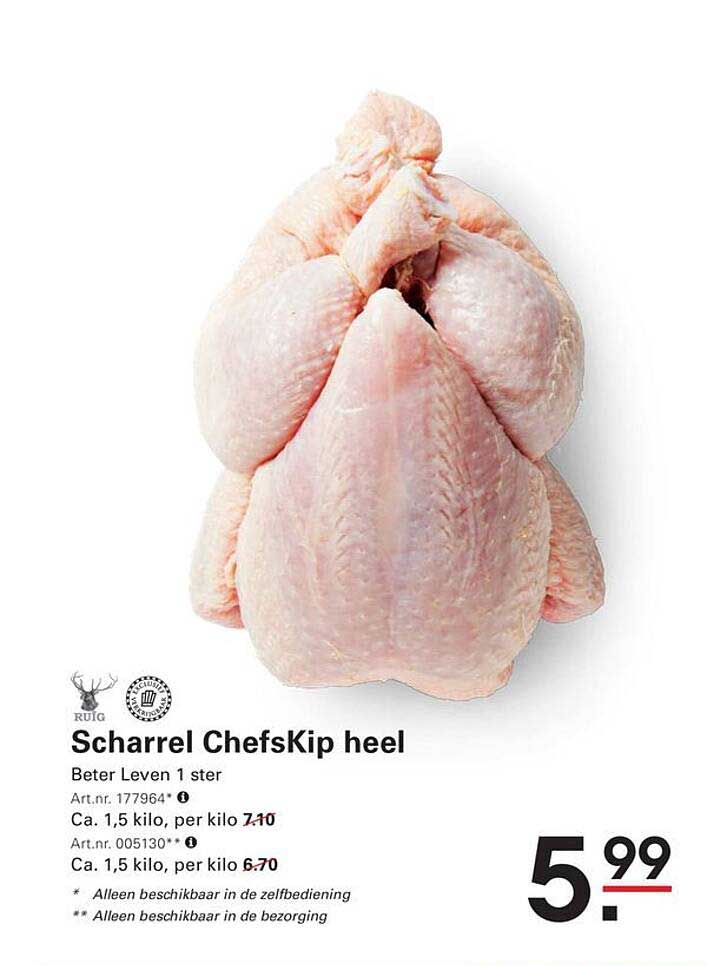 Scharrel ChefsKip heel