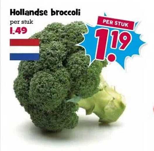 Hollandse broccoli