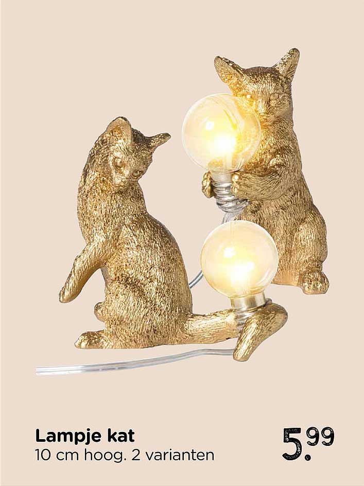 Lampje kat