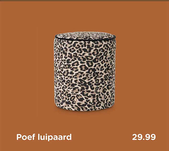 Poef luipaard