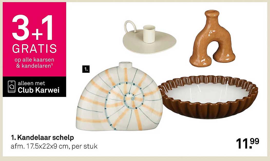 1. Kandelaaar schelp