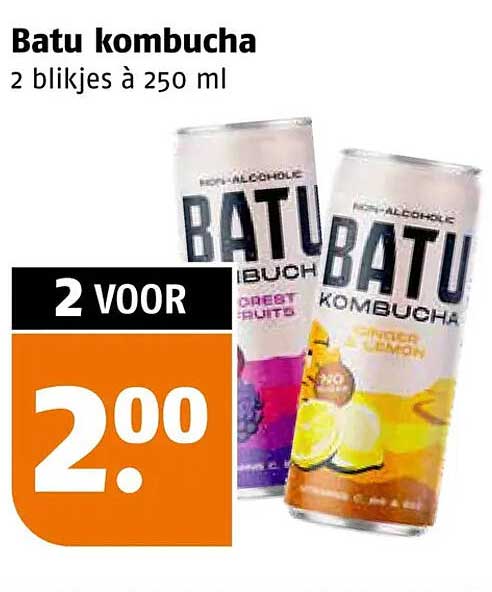 Batu kombucha 2 blikjes à 250 ml 2 voor