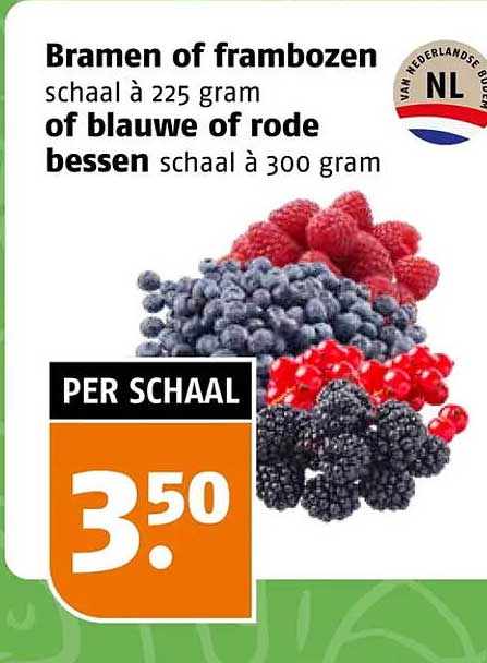 Bramen of frambozen schaal à 225 gram of blauwe of rode bessen schaal à 300 gram PER SCHAAL