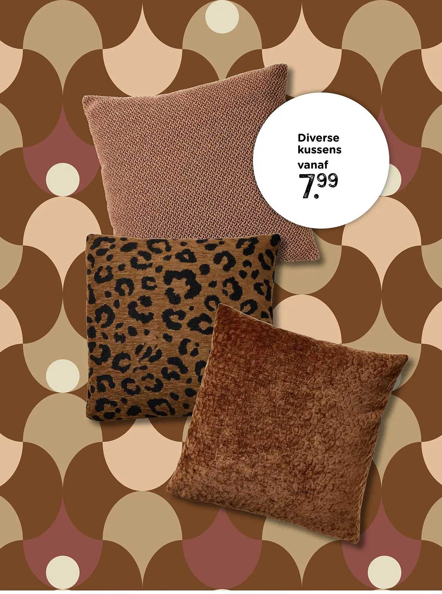 Diverse kussens vanaf 7.99
