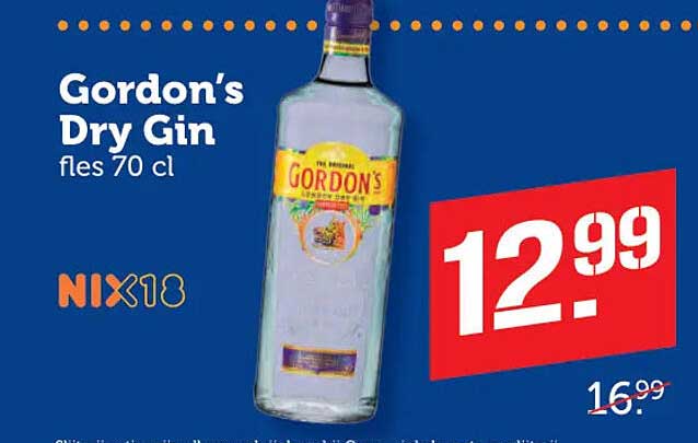Gordon's Dry Gin fles 70 cl