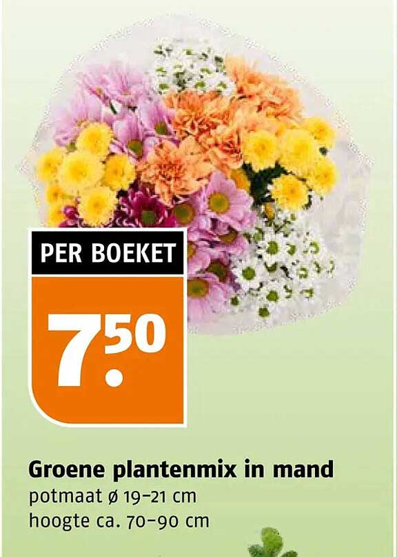 Groene plantenmix in mand