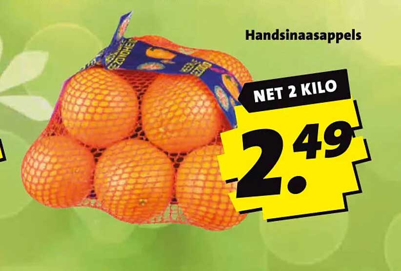 Handsinaasappels NET 2 KILO