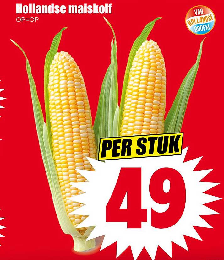 Hollandse maiskolf OP=OP PER STUK
