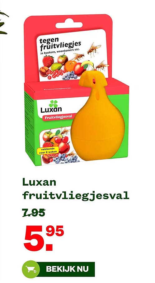 Luxan fruitvliegjesval