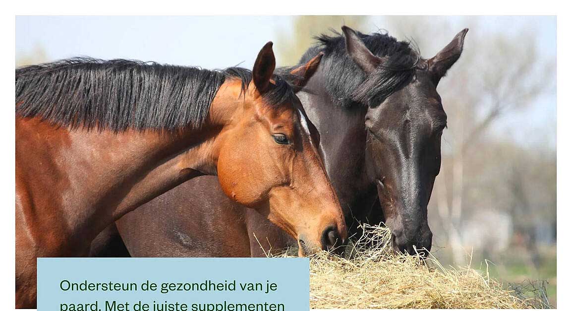 Ondersteun de gezondheid van je paard. Met de juiste supplementen