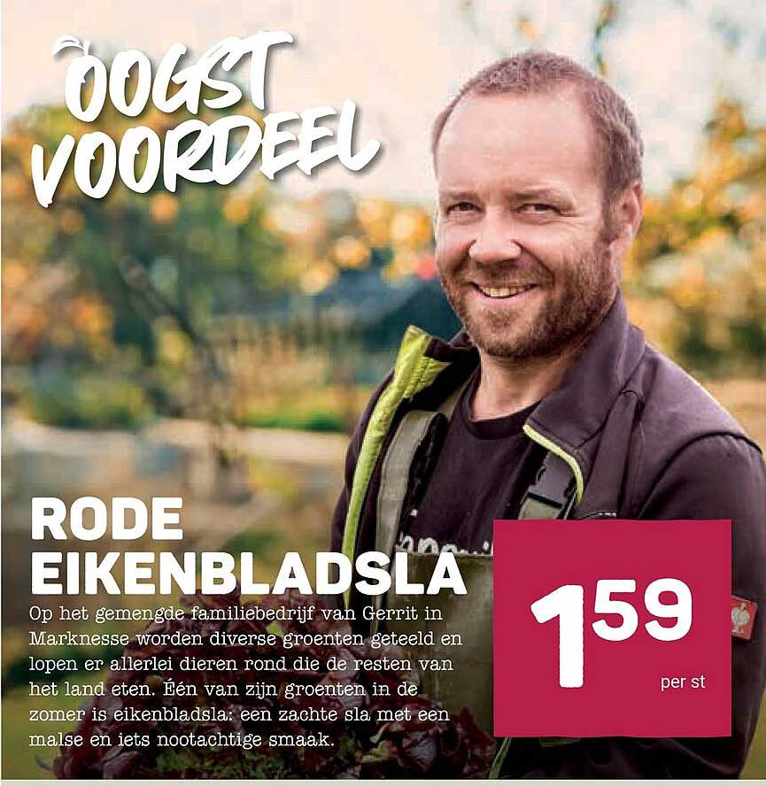 Rode eikenbladsla