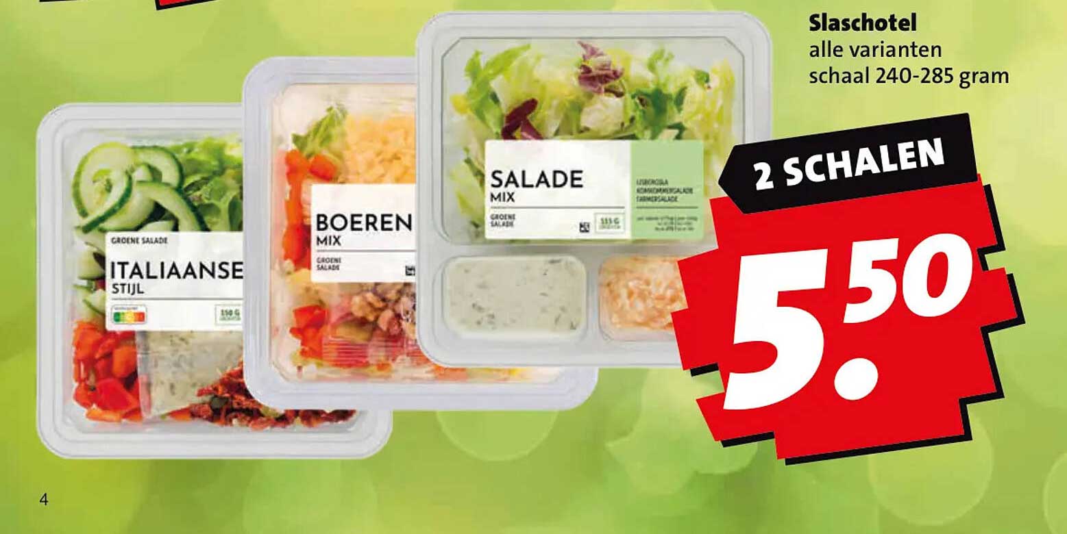 Slaschotel alle varianten schaal 240-285 gram 2 SCHALEN