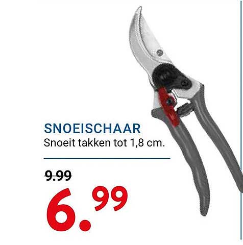 SNOEISCHAAR
