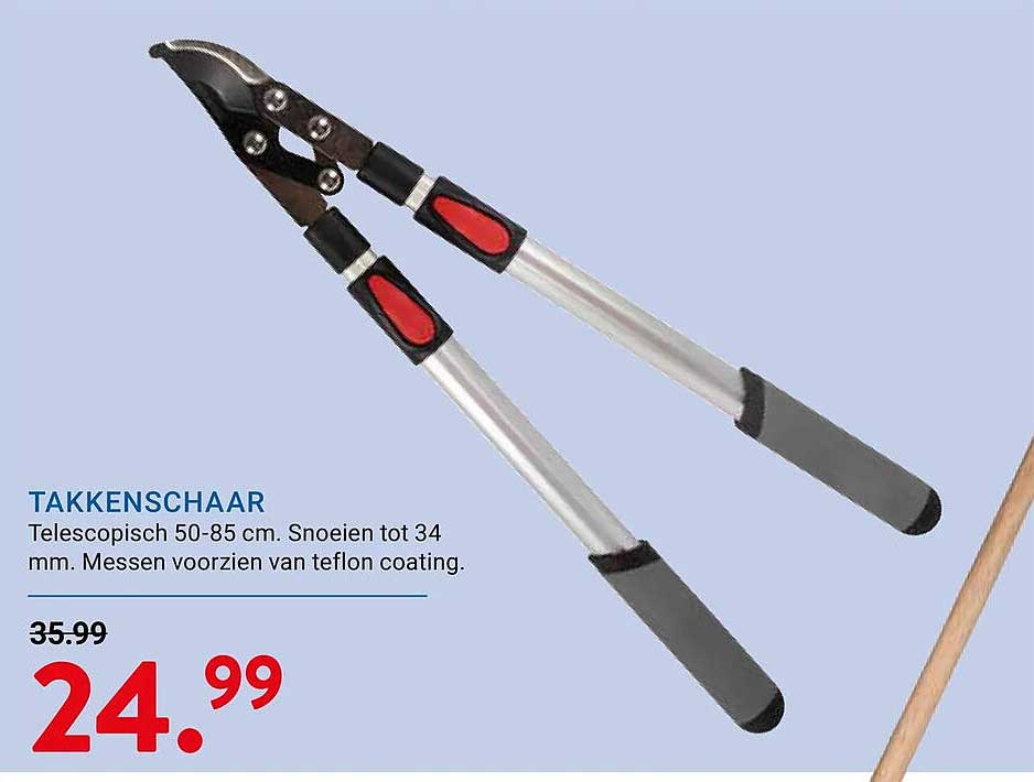 TAKKENSCHAAR