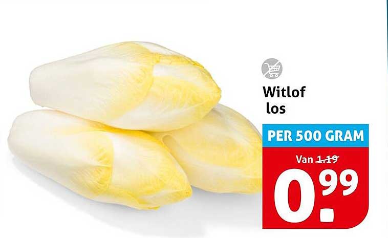 Witlof los PER 500 GRAM