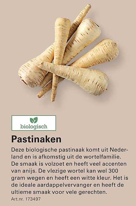 biologisch Pastinaken