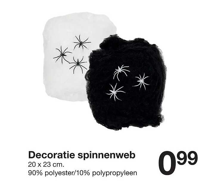 Decoratie spinnenweb