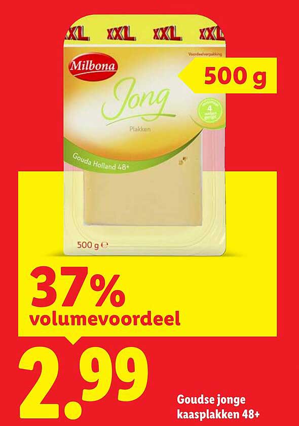 Goudse jonge kaasplakken 48+