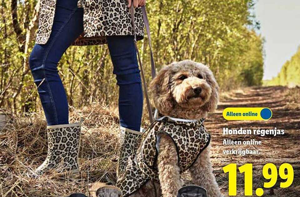 Honden regenjas Alleen online verkrijgbaar