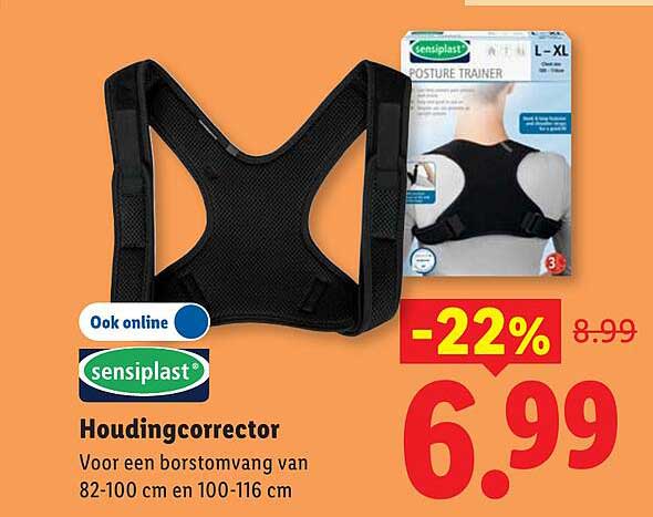 Houdingcorrector