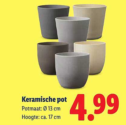 Keramische pot