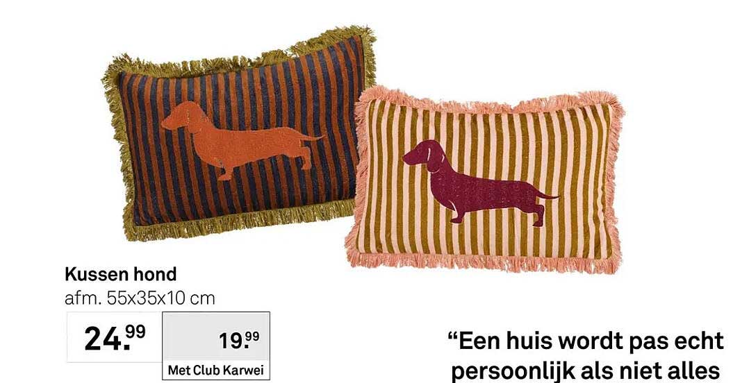 Kussen hond