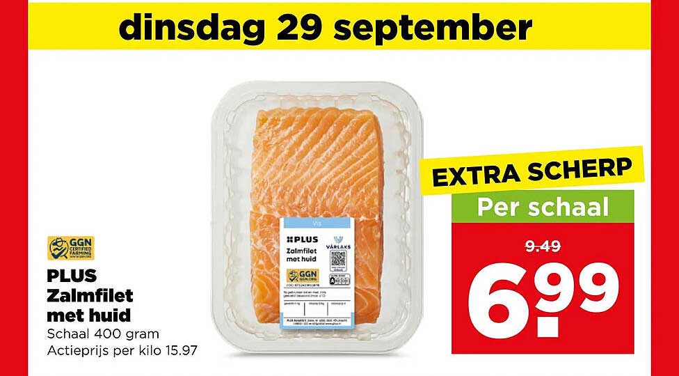 PLUS Zalmfilet met huid
