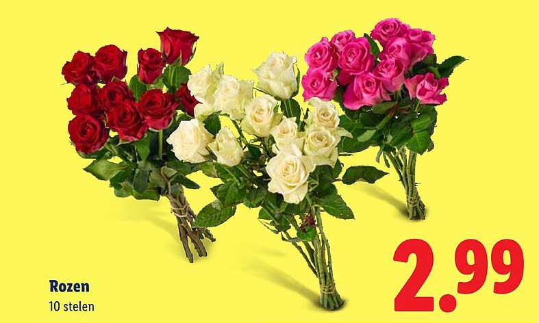 Rozen 10 stelen