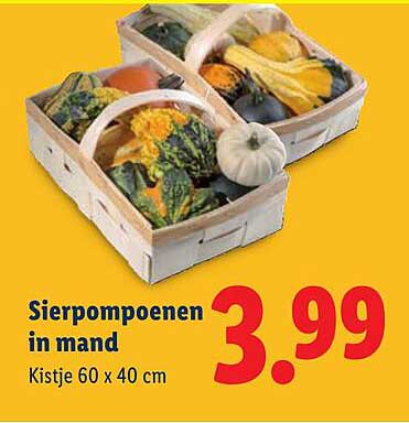 Sierpompoenen in mand