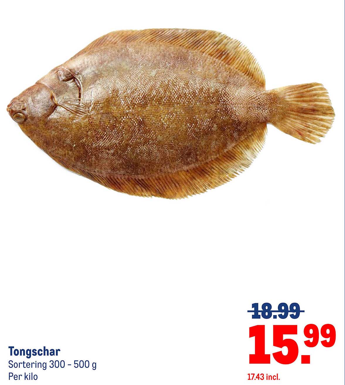 Tongschaar Sortering 300 - 500 g Per kilo