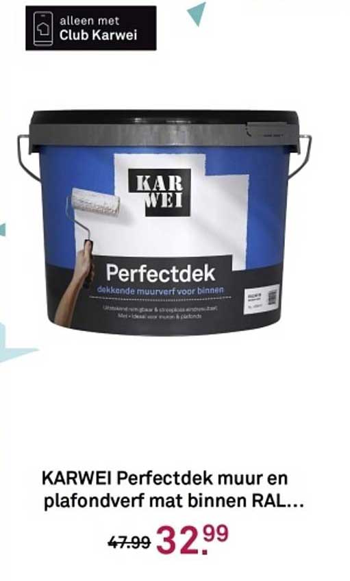 KARWEI Perfectdek muur en plafondverf met binnen RAL...