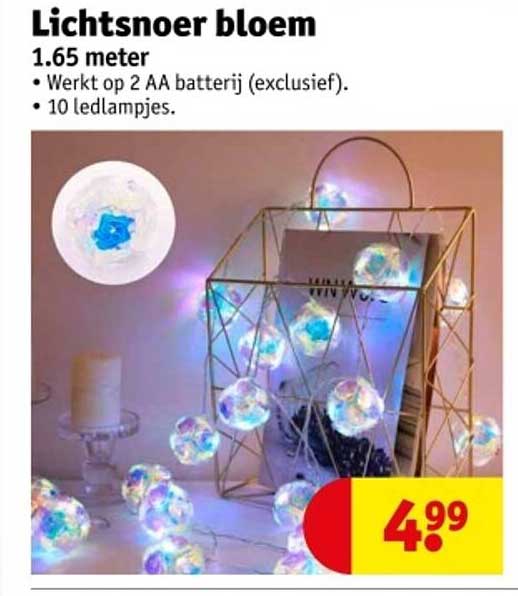 Lichtsnoer bloembollen 1.65 meter