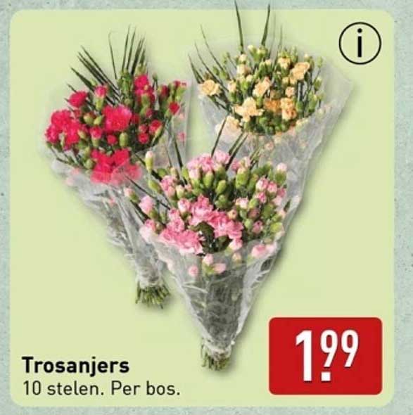 Trosanjers