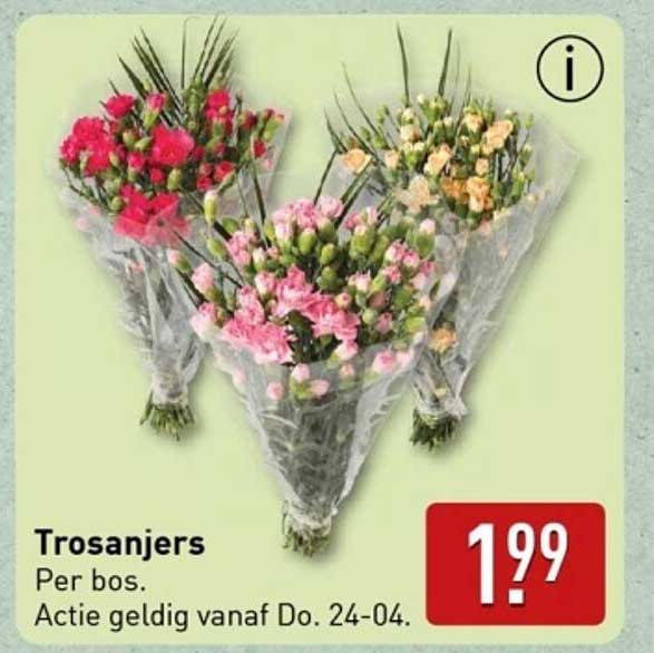 Trosanjers