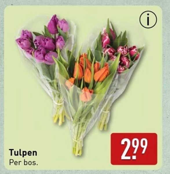 Tulpen
