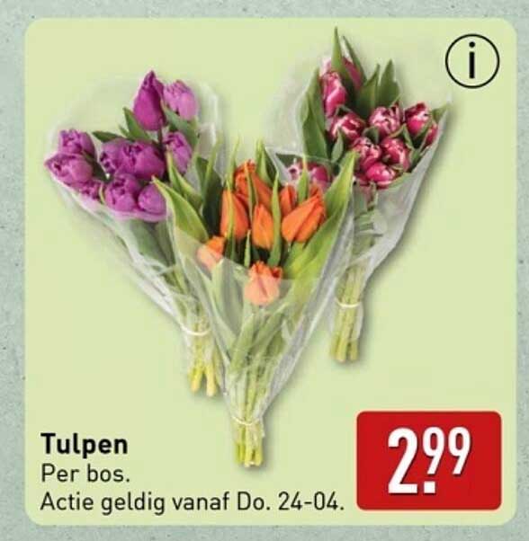 Tulpen