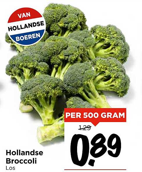Hollandse Broccoli