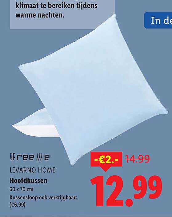 Hoofdkussen 60 x 70 cm