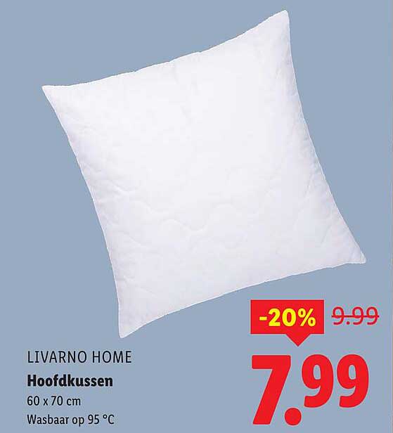 Hoofdkussen